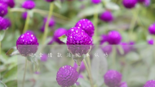 现金借款法院承认吗 现金借款法院承认吗