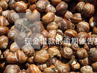 现金借款的逾期催告费 现金借款的逾期催告费