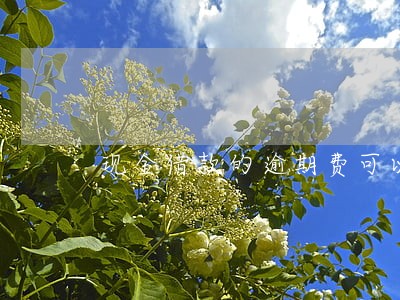 现金借款的逾期费可以减少的吗 现金借款的逾期费可以减少的吗
