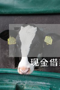 现金借款能免逾期费的 现金借款能免逾期费的