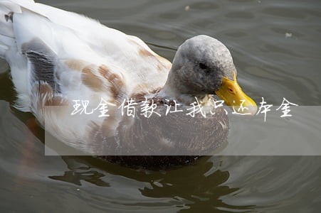 现金借款让我只还本金 现金借款让我只还本金