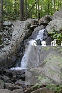 现金借款软件逾期 现金借款软件逾期