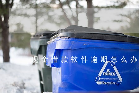 现金借款软件逾期怎么办 现金借款软件逾期怎么办