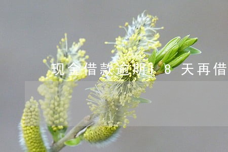 现金借款逾期18天再借 现金借款逾期18天再借