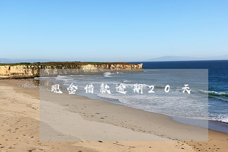 现金借款逾期20天 现金借款逾期20天