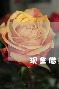 现金借款逾期2年了
