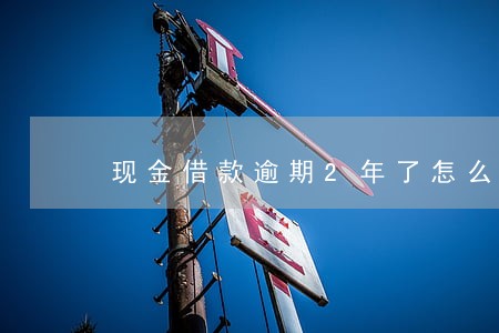 现金借款逾期2年了怎么还款 现金借款逾期2年了怎么还款