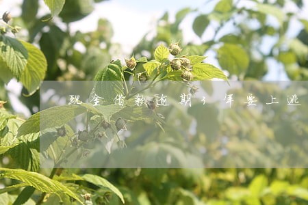 现金借款逾期3年要上逃废债 现金借款逾期3年要上逃废债