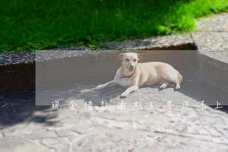 现金借款逾期3年还不上 现金借款逾期3年还不上