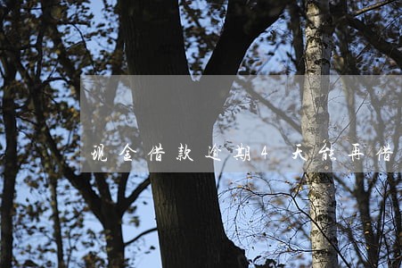 现金借款逾期4天能再借出来吗 现金借款逾期4天能再借出来吗