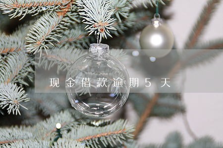 现金借款逾期5天 现金借款逾期5天