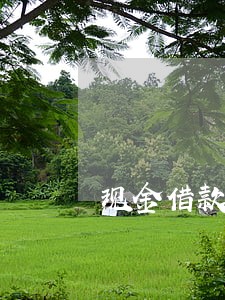 现金借款逾期5天还能借吗 现金借款逾期5天还能借吗