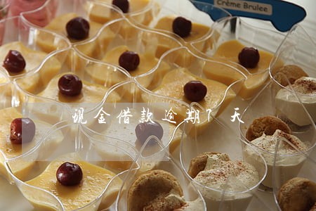 现金借款逾期7天 现金借款逾期7天