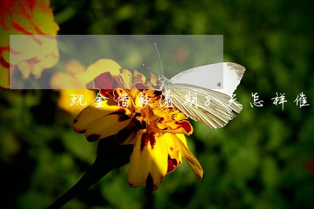 现金借款逾期8天怎样催收 现金借款逾期8天怎样催收