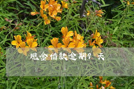 现金借款逾期9天 现金借款逾期9天