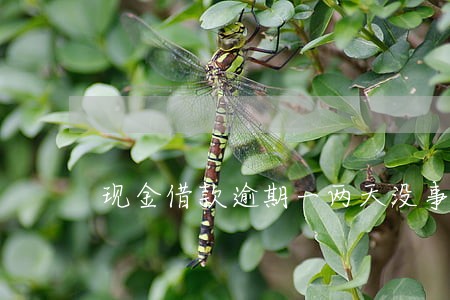 现金借款逾期一两天没事吧 现金借款逾期一两天没事吧