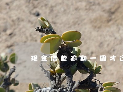 现金借款逾期一周才还 现金借款逾期一周才还