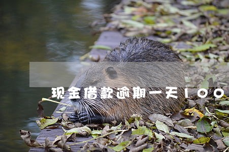 现金借款逾期一天1000元 现金借款逾期一天1000元