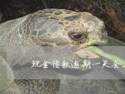 现金借款逾期一天会上征信吗 现金借款逾期一天会上征信吗
