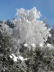 现金借款逾期一天图片