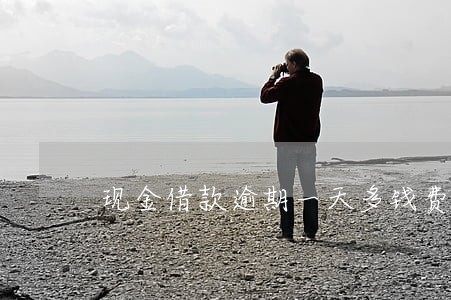 现金借款逾期一天多钱费用 现金借款逾期一天多钱费用