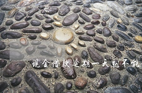 现金借款逾期一天就不能借了 现金借款逾期一天就不能借了