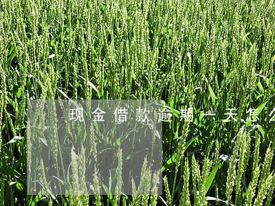 现金借款逾期一天怎么处理 现金借款逾期一天怎么处理