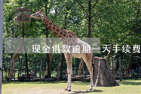 现金借款逾期一天手续费 现金借款逾期一天手续费