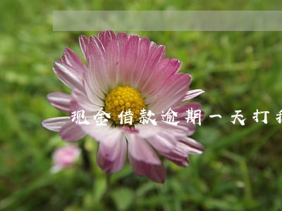现金借款逾期一天打我家人电话 现金借款逾期一天打我家人电话