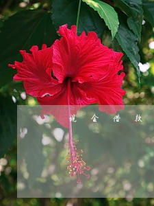 现金借款逾期一天打通讯录吗 现金借款逾期一天打通讯录吗