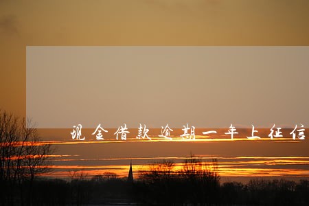 现金借款逾期一年上征信 现金借款逾期一年上征信