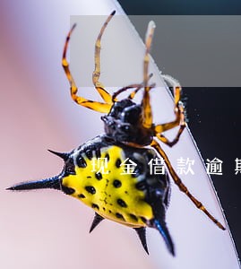 现金借款逾期一年后果 现金借款逾期一年后果