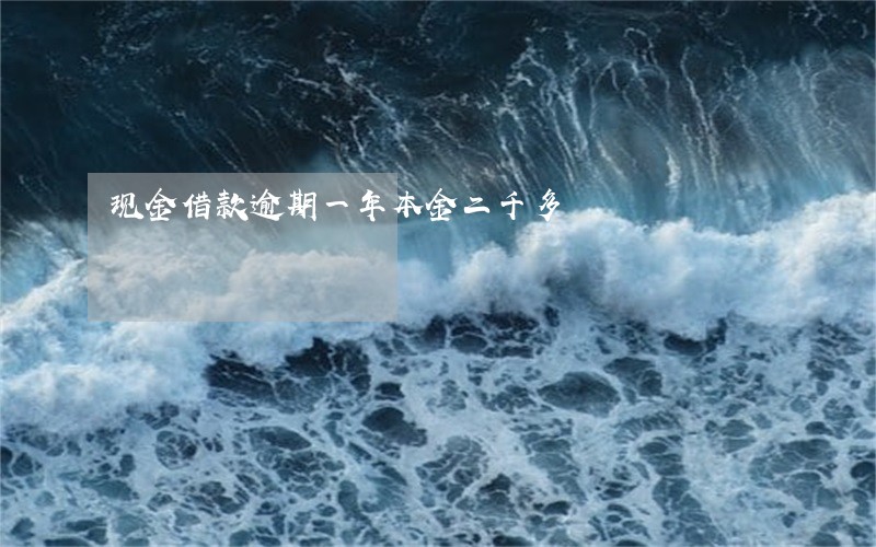 现金借款逾期一年本金二千多 现金借款逾期一年本金二千多