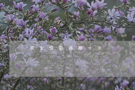 现金借款逾期一次 现金借款逾期一次