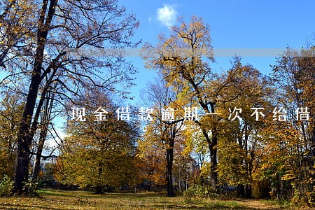 现金借款逾期一次不给借 现金借款逾期一次不给借