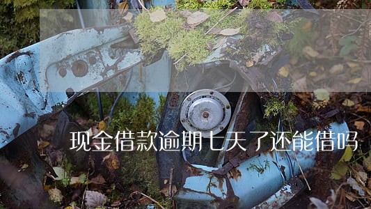 现金借款逾期七天了还能借吗 现金借款逾期七天了还能借吗