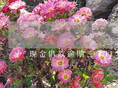 现金借款逾期三个月 现金借款逾期三个月