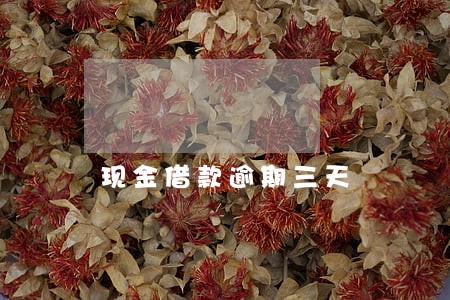 现金借款逾期三天