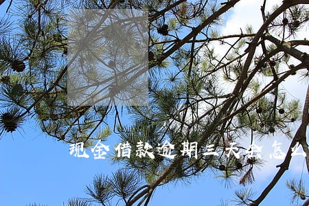 现金借款逾期三天会怎么样 现金借款逾期三天会怎么样