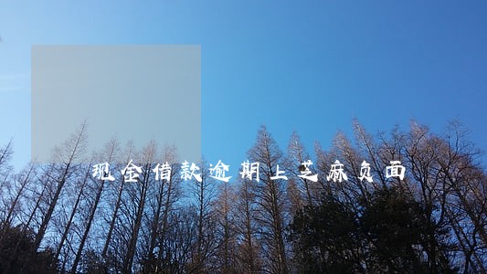 现金借款逾期上芝麻负面