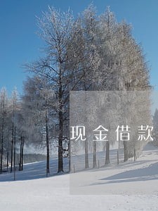 现金借款逾期不打电话 现金借款逾期不打电话