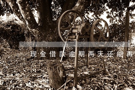 现金借款逾期两天还能再借吗 现金借款逾期两天还能再借吗