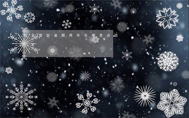 现金借款逾期两年在哪里还款