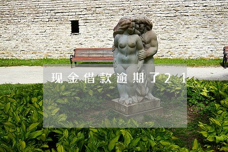 现金借款逾期了21 现金借款逾期了21
