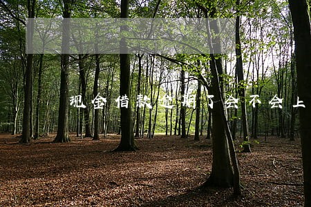 现金借款逾期了会不会上门 现金借款逾期了会不会上门