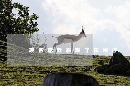 现金借款逾期了在哪还 现金借款逾期了在哪还
