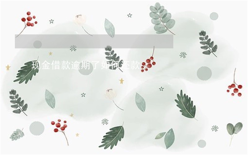 现金借款逾期了如何还款 现金借款逾期了如何还款