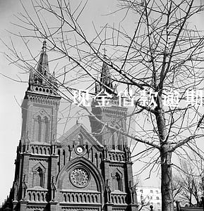现金借款逾期了怎么还 现金借款逾期了怎么还