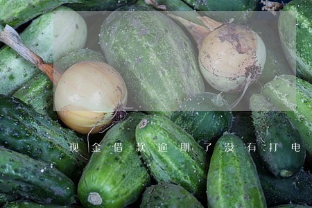 现金借款逾期了没有打电话 现金借款逾期了没有打电话