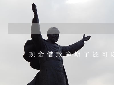 现金借款逾期了还可以再借吗 现金借款逾期了还可以再借吗